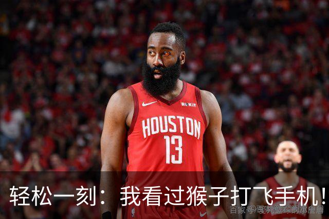 轻松一刻：我看过猴子打飞手机！